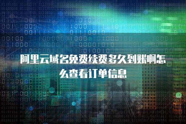 域名续费流程与到账时间解析